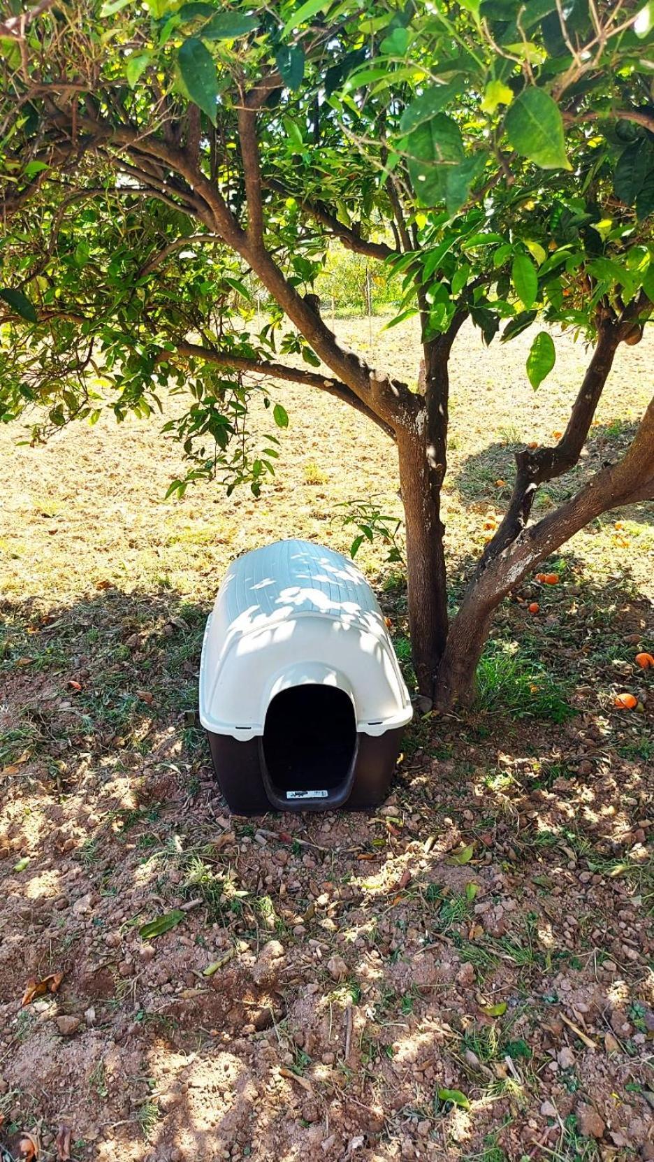 Agritourism Cottage Near Sitia מראה חיצוני תמונה